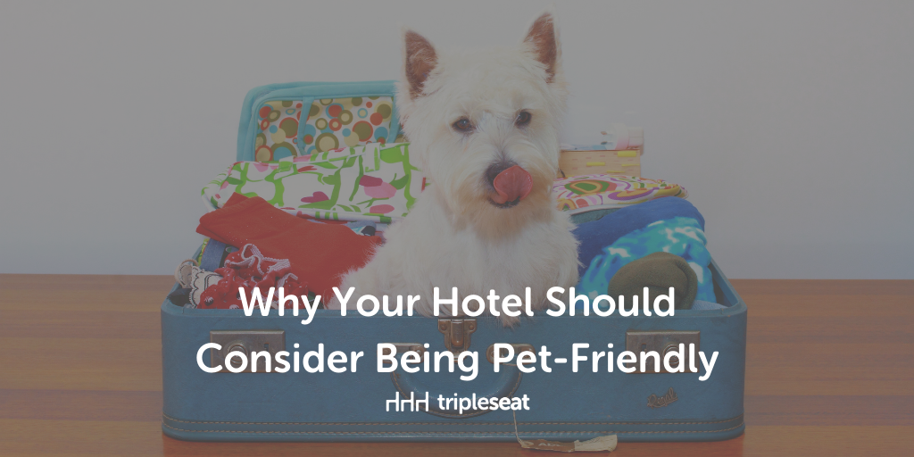 Do Most Hotels Allow Dogs