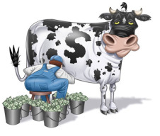 cash-cow